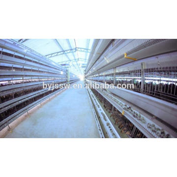 Full Automatic Quail Cage,Egg Quail Cage,Pyramid Quail Cage For Quail Farm